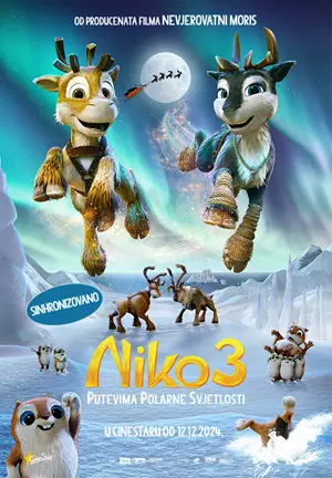 Niko 3: Putevima polarne svjetlosti